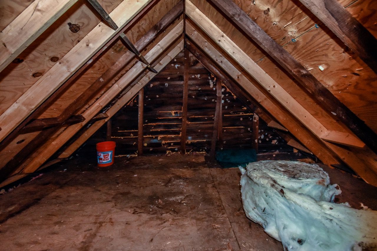 House Renovation (123).jpg